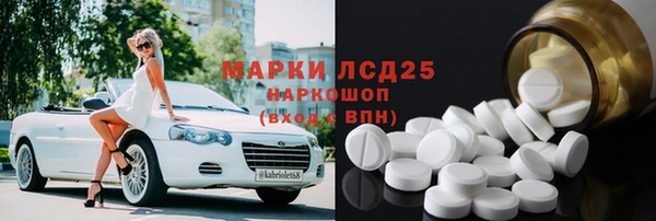 индика Нефтекумск