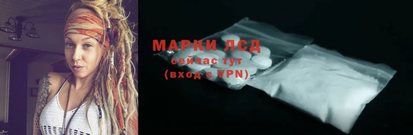 индика Нефтекумск
