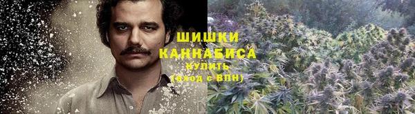 спиды Болхов